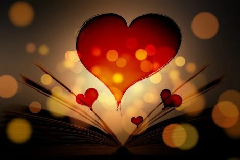 imagen libro amor